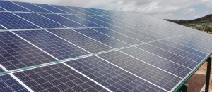 Compra Venta de proyectos fotovoltaicos